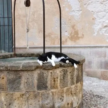 Lejlighed Il Palco Nel Cuore Del Centro Storico *
